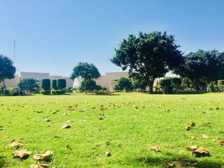 University of Gujrat campus lawn in Gujrat, Punjab – study in Germany consultant for Gujrat students